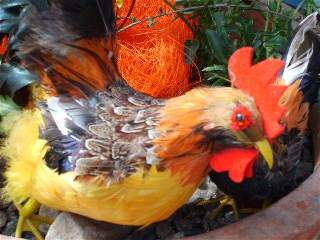 Velikonoční kohoutek: