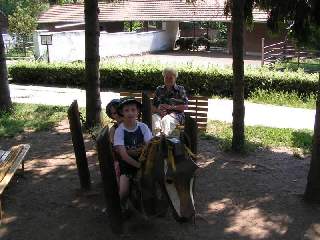 Dřevěný koník byl neustále v permanenci.