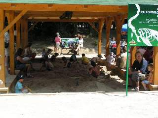 Naleziště vykopávek pro malé paleontology.