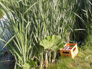 ...stejně jako občerstvení pro rozhodčí.-)