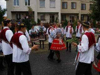 Sólo pro Šárinku: