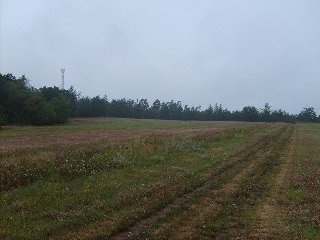 Nyní se můžeme vrátit zpět do Senorad, nebo na zpáteční cestě můžeme ještě odbočit za křížem doprava a vydat se na Vodanský kopec.