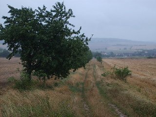 Na konci lesa vidíme Senorady a vydáme se zpět přímo k obci po polní cestě.