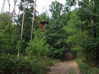 Asi v půli lesa míjíme myslivecký posed.