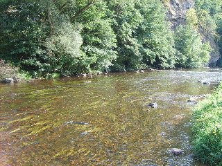 Jihlava je oblíbená vodácká řeka, která je sjízdná při pravidelném pouštění vody z Mohelské přehrady (součást Dalešického vodního díla).