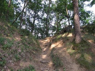 Po několika metrech nesmíme zapomenout odbočit doleva na lesní pěšinu, která stoupá prudce k hradu Kraví Hora.