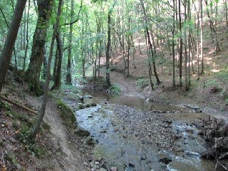 Zde můžeme řeku přebrodit..