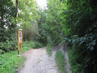 U hradu Levnova si můžeme přečíst informační tabuli a dozvědět se něco z historie hradu.