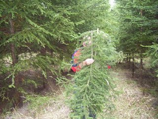 A další ještě více schovaný..