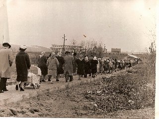 Cesta k nové obecní škole.
