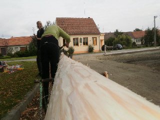 To vypadá na první stárkovou :)