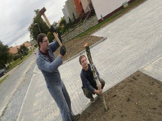 Zatlučení kůlů, ke kterým se připevnily májky u parkoviště: