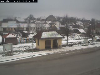 Najdete na tomto snímku psa?