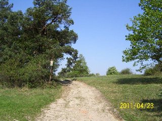 Cesty přes Biskoupské kopce: