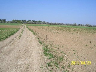 Cesta z Biskoupských kopců na Kozének: