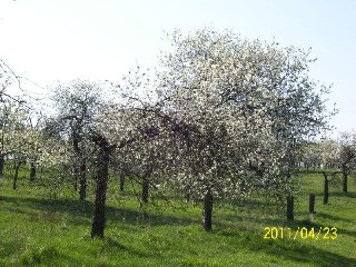 Zde našel Anton Pavlovič Čechov inspiraci ke své poslední divadelní hře :)