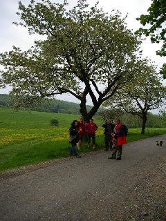 Co by to bylo za pochod bez tradicni pusy pod rozkvetlou tresni