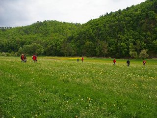 Nekontrolovatelny prechod z lesa k jezu