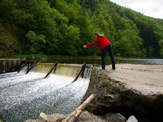 Pampeliskovy venecek se vydava na cestu do Cerneho more
