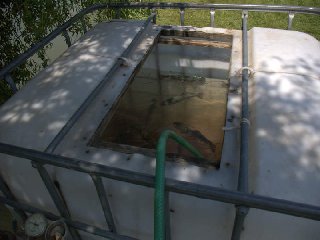 Ryby připravené k výlovu.