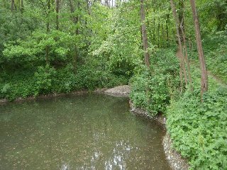 U pravého břehu rybníčku najdeme úzkou pěšinu.