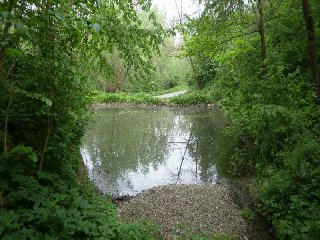 Sejdeme zpět k rybníčku a vrátíme se na původní rozcestí, kde se tentokrát vydáme doleva.