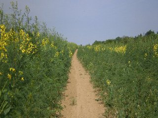 Přes polní cestu se vydáváme dál k obci Senorady.