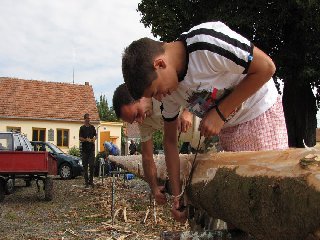 Odstraňování kůry podle večerníčku Pat a Mat :)