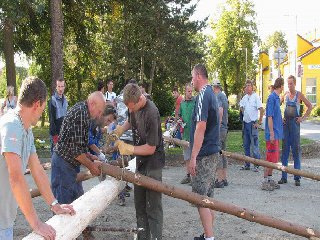 Příprava rahen na stavění máje. Naváže se smyčka na rahno, to se pak pootočí, aby se lano navinulo a tím se rahno zafixovalo ke kmenu.