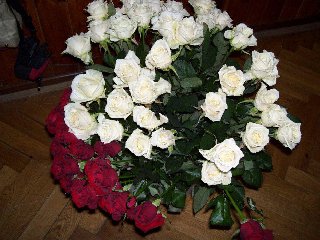 .. hezké růže a v průběhu plesu také občerstvení v podobě obložených mís.