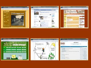 Vlastní stránky se začaly rozrůstat i o doplňkové aplikace jakými jsou Digitální muzeum obce e-Muzeum, Elektronický rádce e-Rádce, Environmentální informační systém ENVIRO Senorady a další drobné elektronické služby: