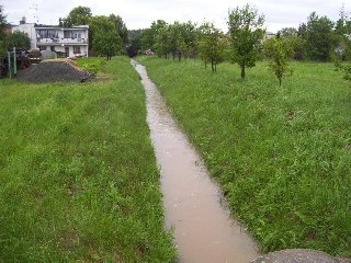 Přítok na loukách: