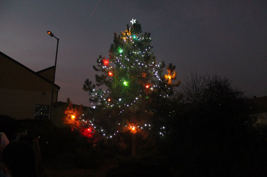 A konečně rozsvícený vánoční strom!