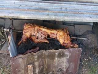 a výborné selátko....