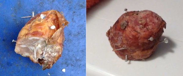 Upozornění na pohozené nebezpečné pamlsky