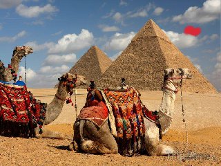 Takhle můžou čumět jenom velbloudi :-)) ...no,i když ..