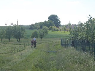 Doprovodný program: Jízda na koni