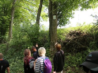 Není to sixtinská kaple, ale jsme u obrázku