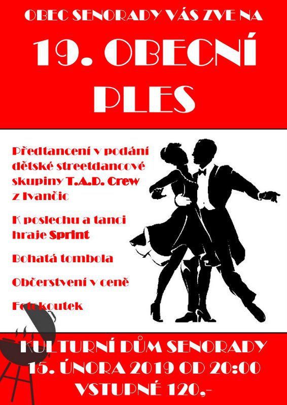 Obecní ples 2019
