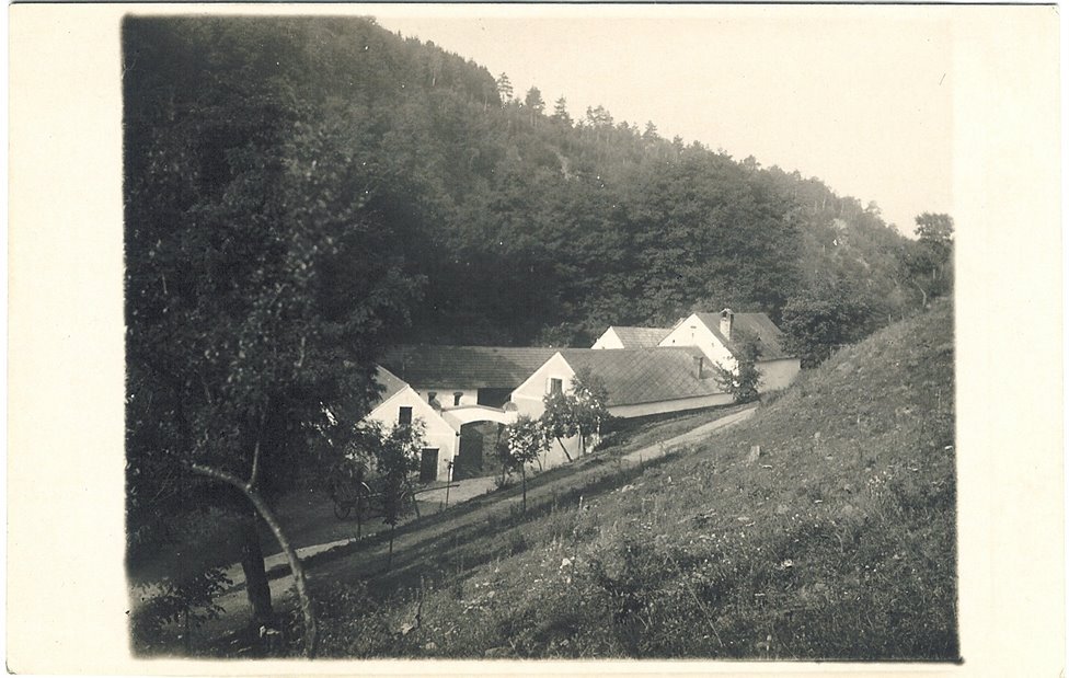 Vrabci z Vydrova mlýna