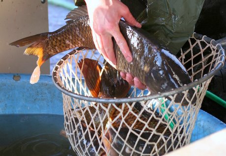 HLÁŠENÍ 06.12.2023